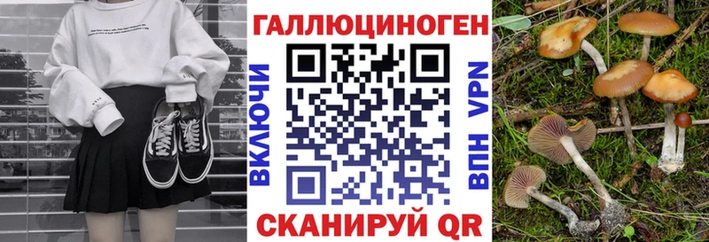 Псилоцибиновые грибы мицелий  цена наркотик  ОМГ ОМГ ссылка  Невьянск 